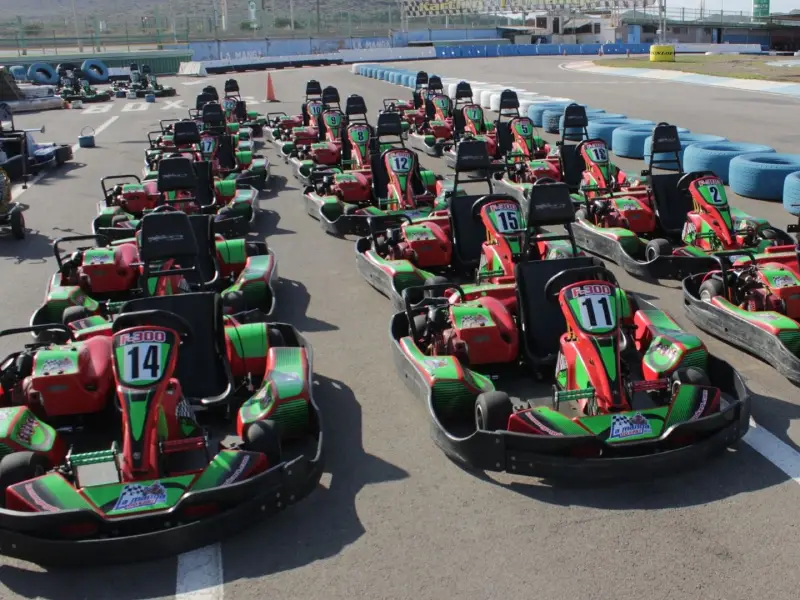 Flota La Manga Gokart