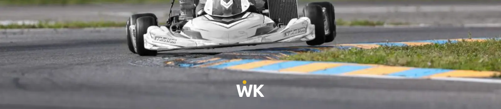 fondo WikiKarting 4